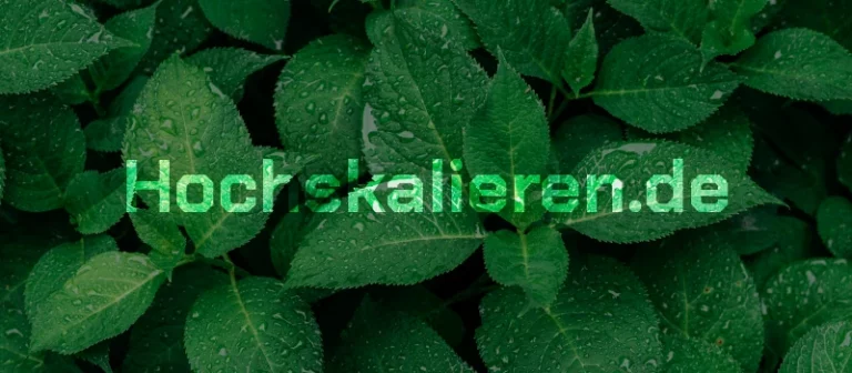 Hochskalieren.de geht live